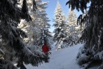 DSC_0087.JPG