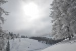 DSC_0162.JPG