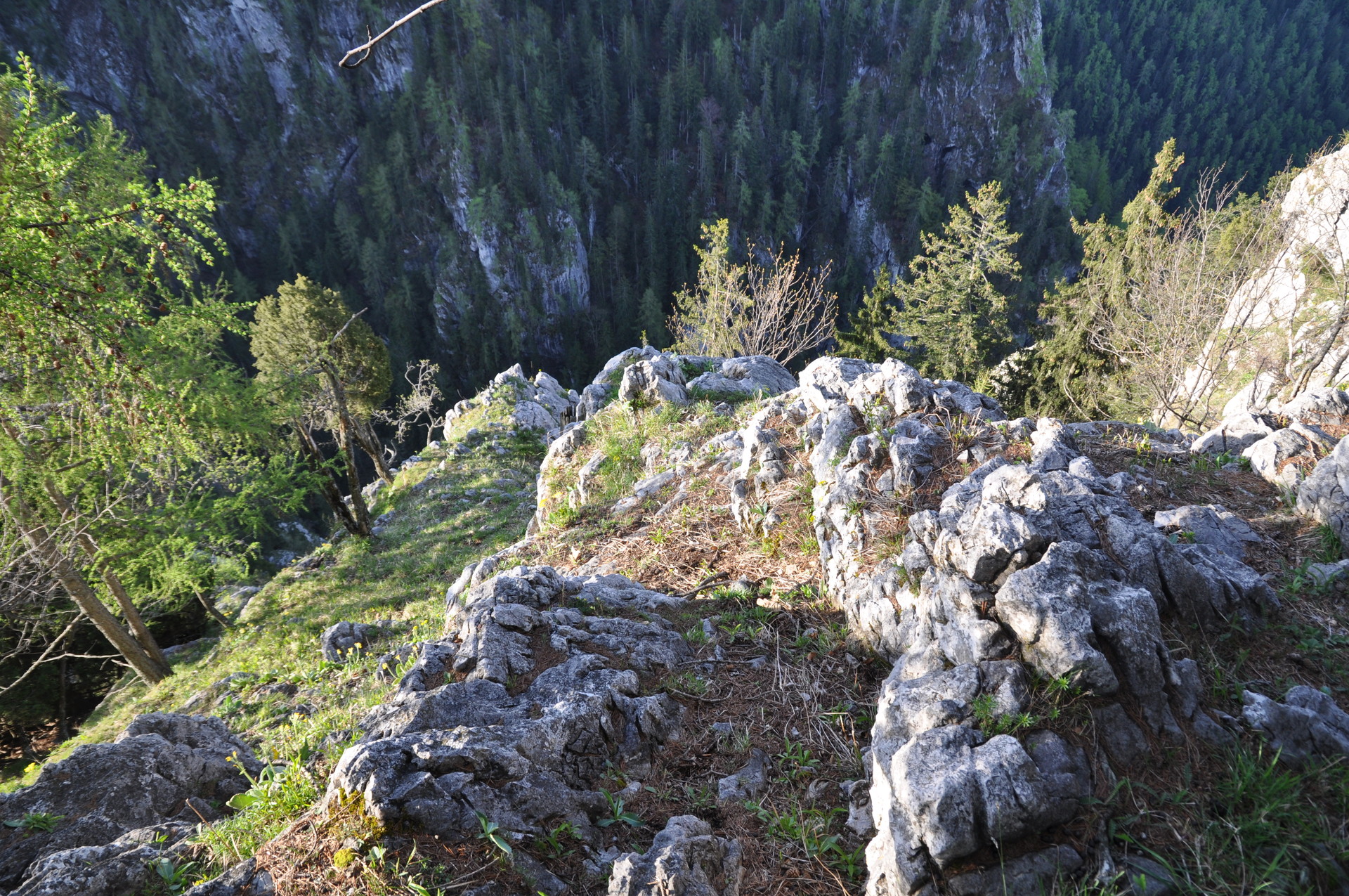 Blick in die Bärenschützklamm