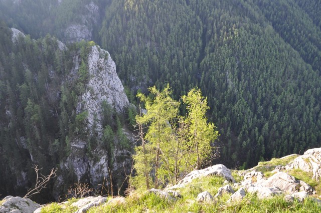 Der Brunntal-Turm von oben