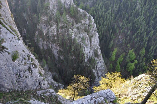 Die Klamm von oben (neben dem linken Baum in der unteren Bildmitte sieht man die Leiter)