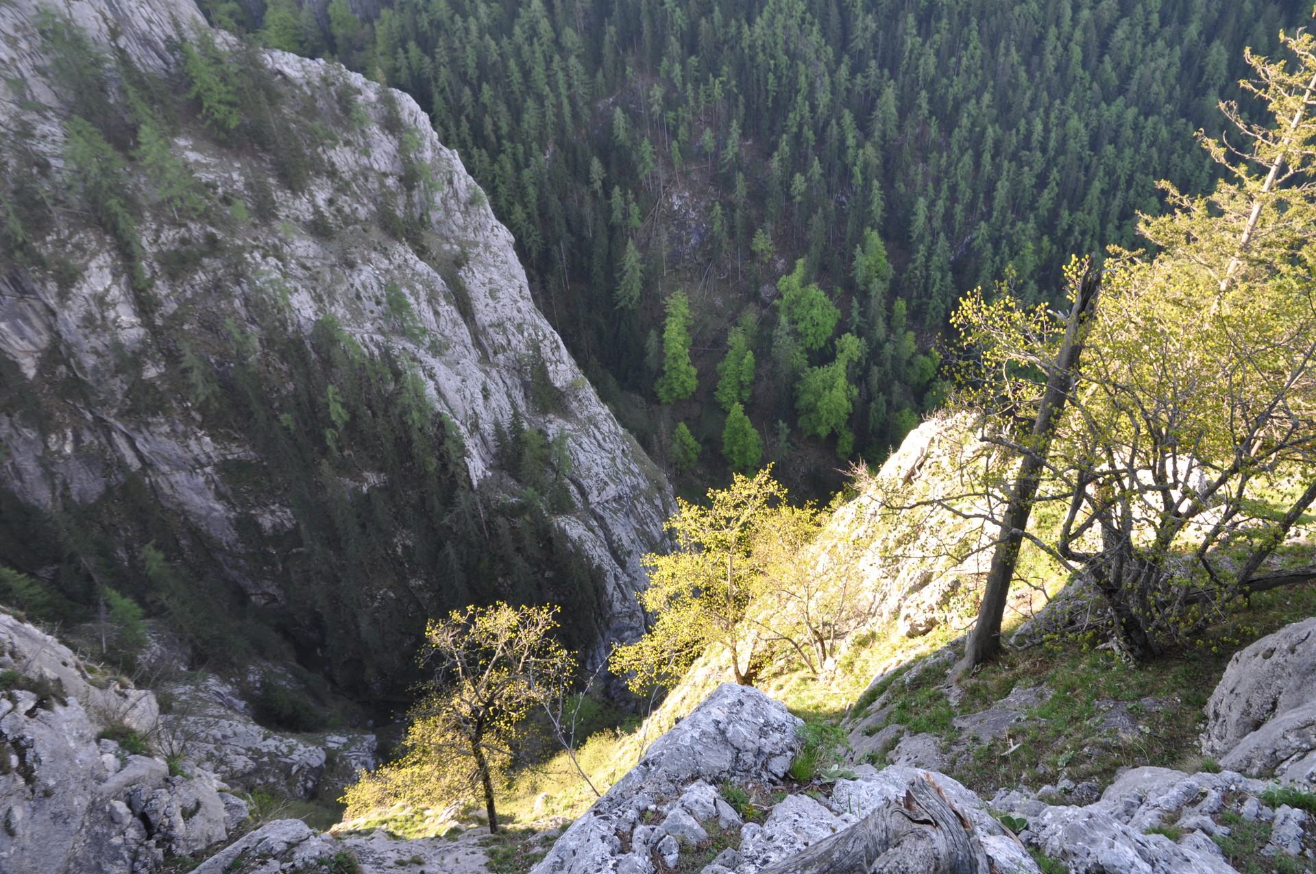 Der Brunntal-Turm