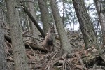 DSC_0090.JPG