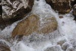 DSC_0268.JPG