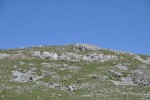 DSC_0433.JPG