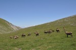DSC_0490.JPG