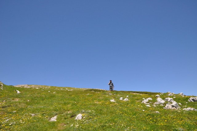 DSC_0511.JPG
