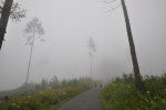 DSC_0018.JPG