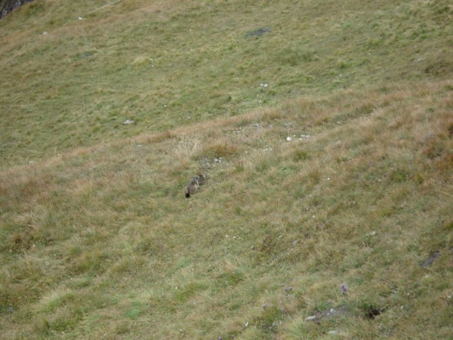 DSC07371.jpg