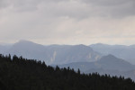 DSC_0141.JPG
