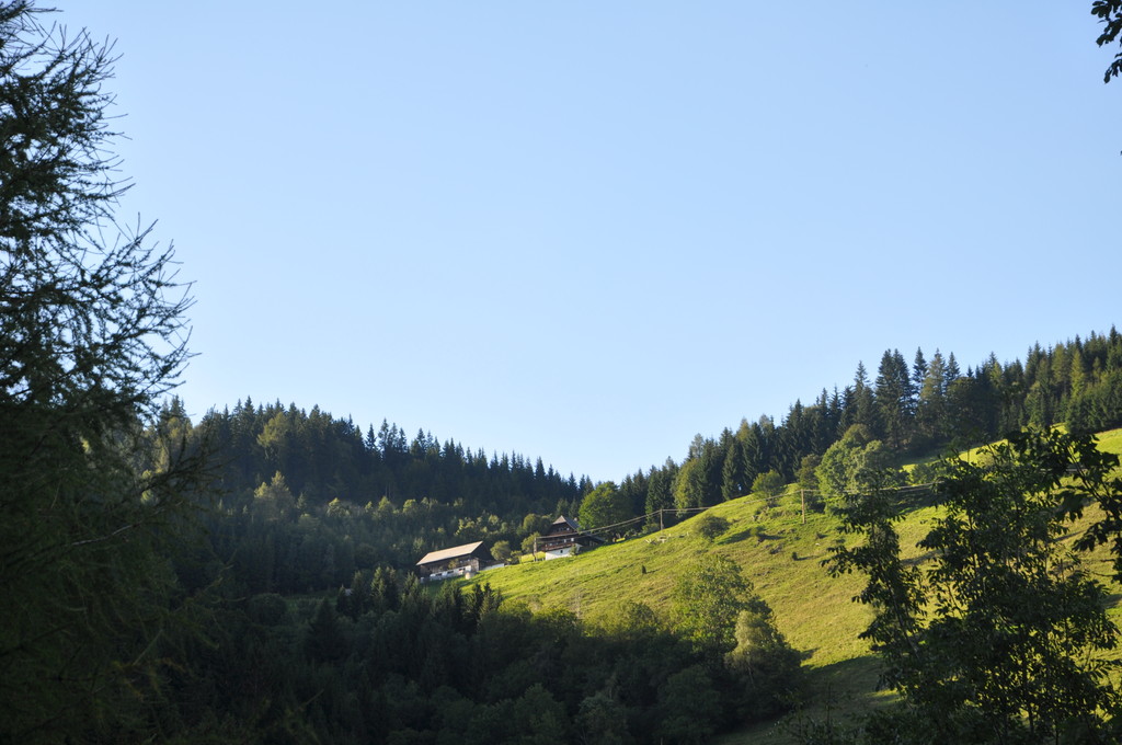 DSC_0173.JPG