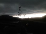 IMG00217-20100827-1553.jpg