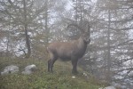 DSC_0222.JPG