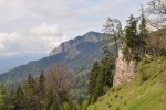 DSC_0228.JPG