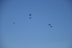 DSC_0066.JPG