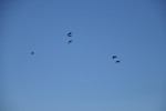 DSC_0066.JPG