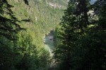 DSC_0204.jpg