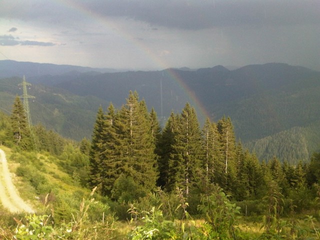 IMG00929-20110711-1753.jpg