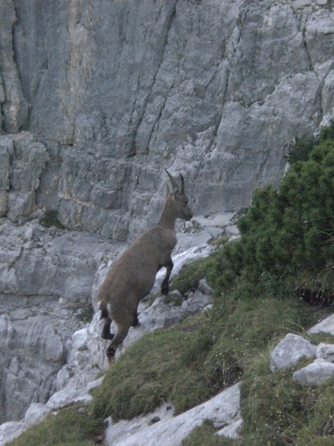 Triglav-2011-  2270.jpg
