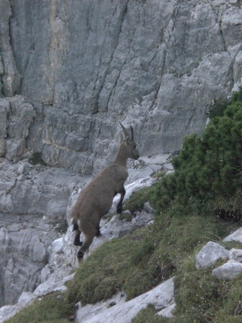 Triglav-2011-  2270.jpg