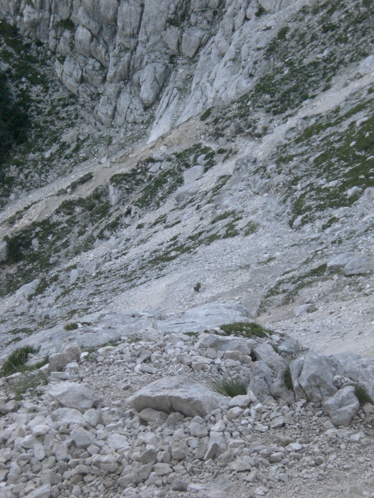 Triglav-2011-  2277.jpg