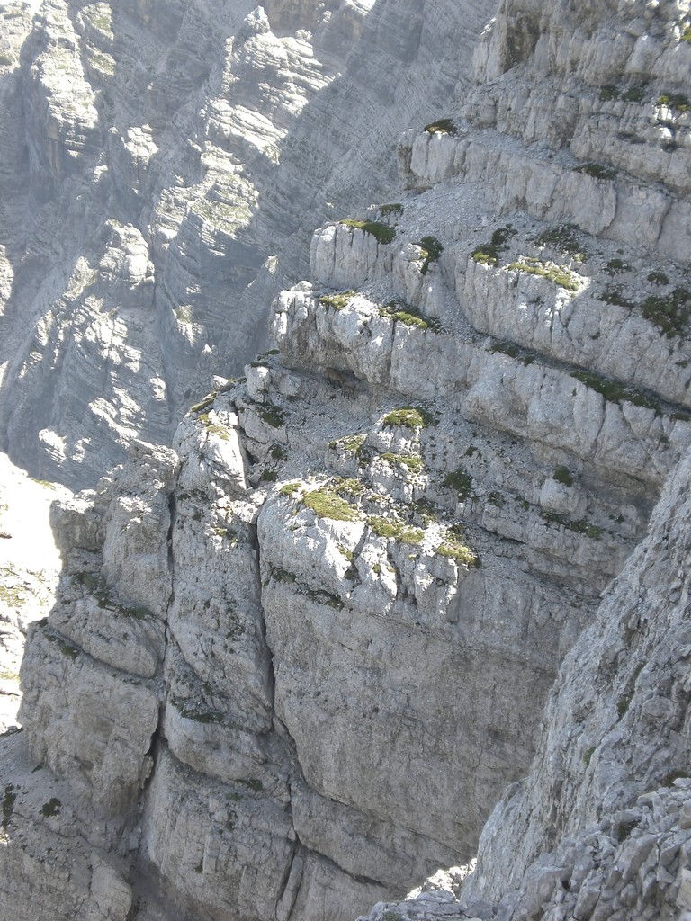 Triglav-2011-  2329.jpg