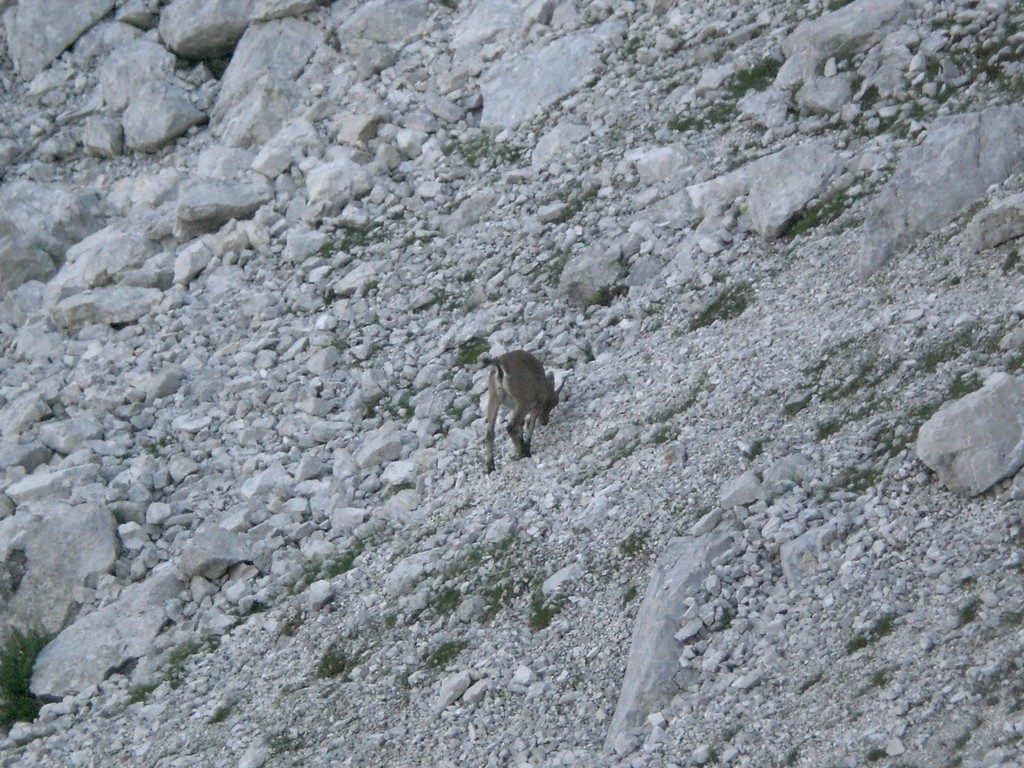 Triglav-2011-  2404.jpg