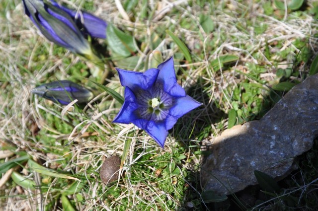 DSC_0084.jpg