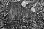 Der Grenzstein am Harling von 1677