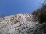 IMG01593-20120419-1013.jpg