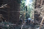 DSC_0048.jpg