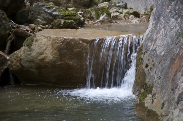 DSC_0658.jpg