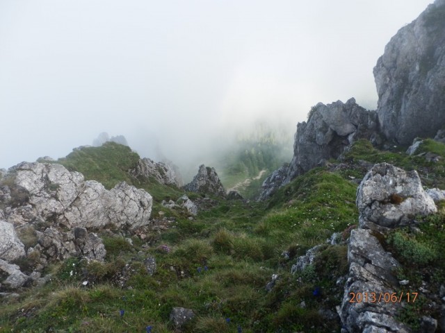 wegohnegnade (88).jpg
