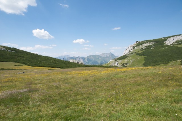 DSC_0408.jpg